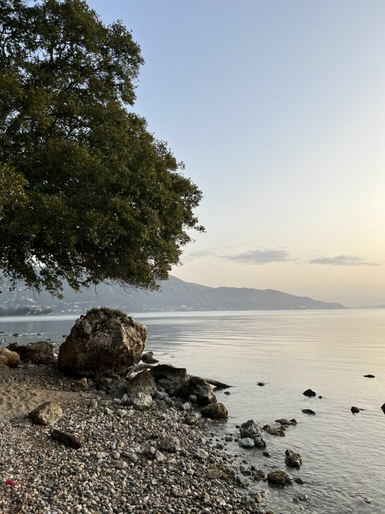 Island seaside with a tree in the foreground