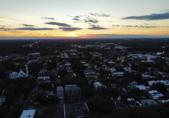 Savannah from the drone