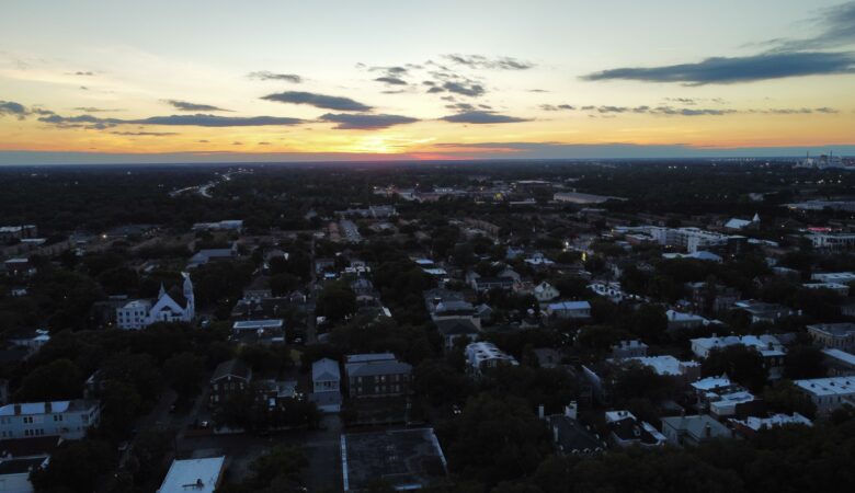 Savannah from the drone